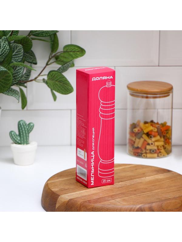 Мельница для специй Доляна «Дуновение леса», 21×4,5 см, керамический механизм, цвет светлое дерево