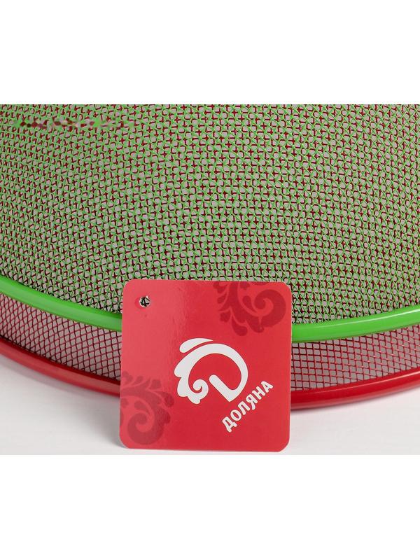 Крышка-сетка для продуктов Доляна, d=24 см, цвет МИКС