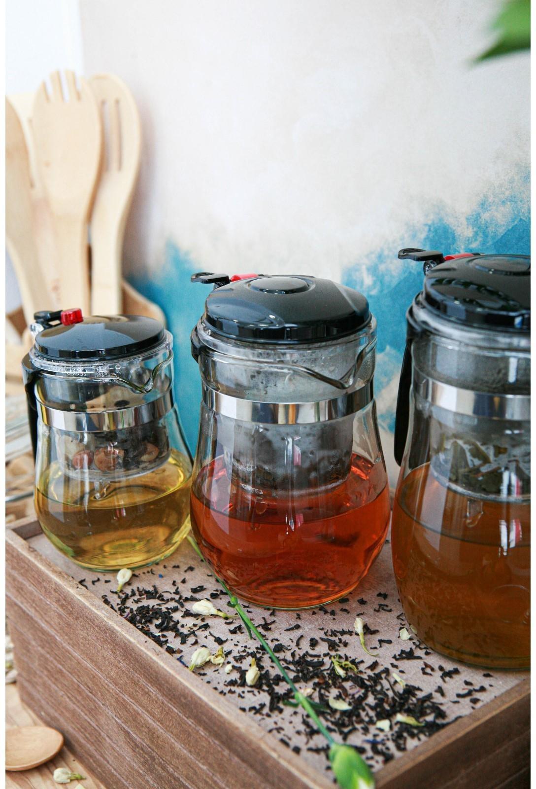 Чайник стеклянный заварочный Magistro «Мехико», 500 мл, с металлическим ситом, пластиковая колба