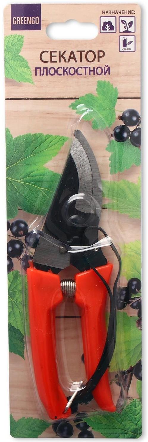 Секатор плоскостной, 7
