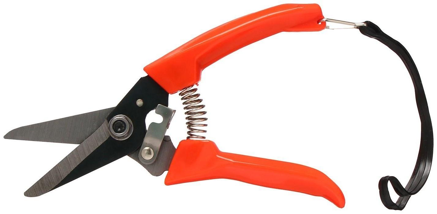 Ножницы садовые, 7