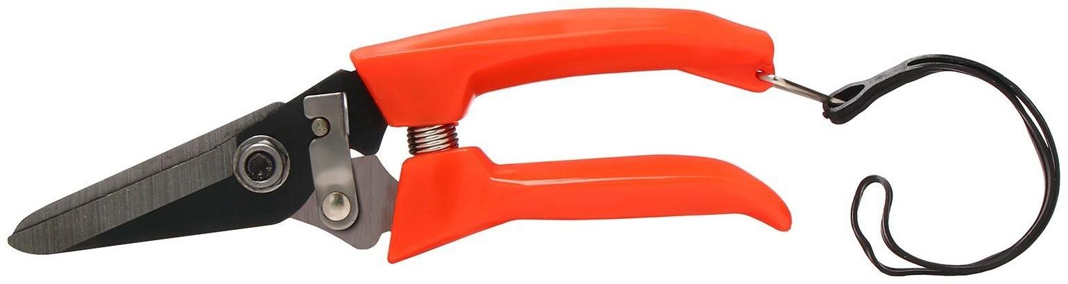 Ножницы садовые, 7