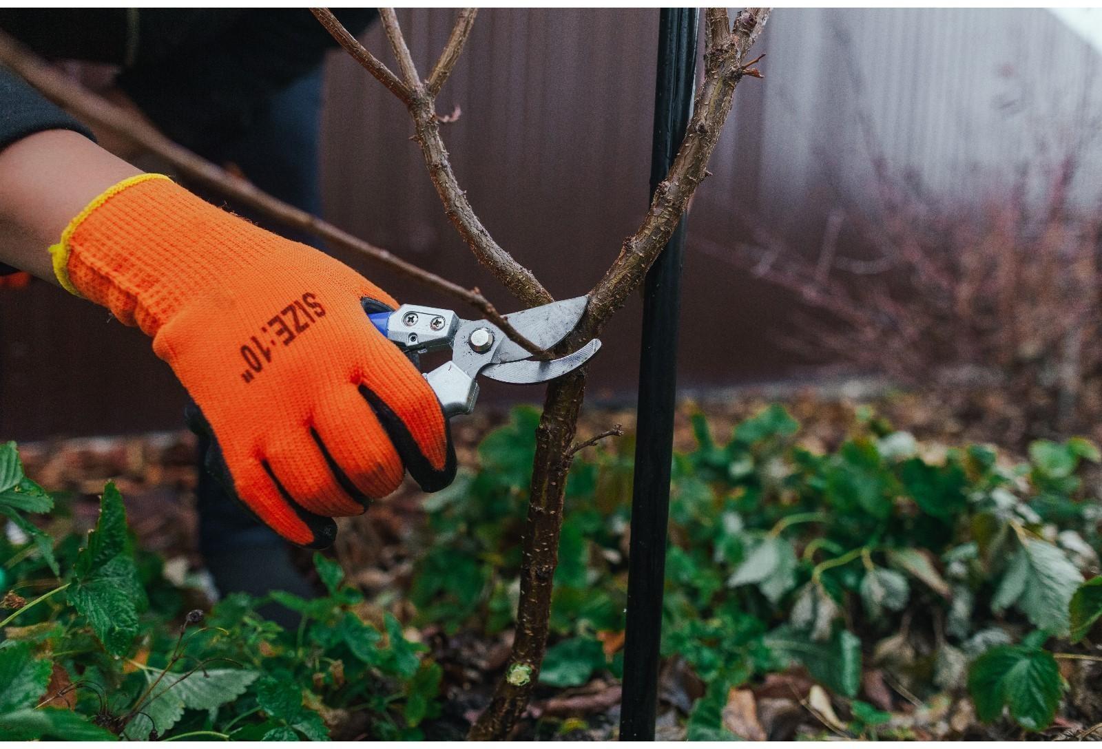 Секатор плоскостной, 8