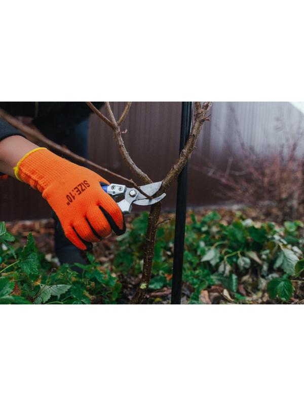 Секатор плоскостной, 8