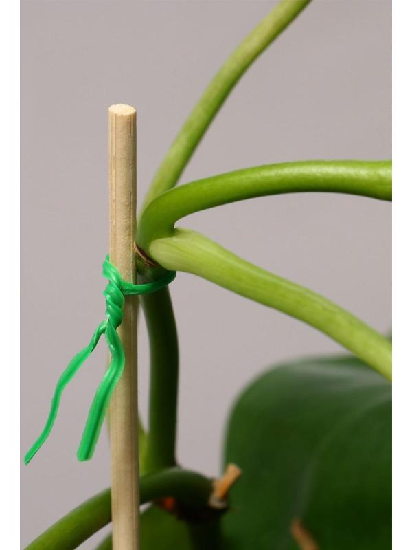 Проволока подвязочная, 20 м, зелёная, Greengo