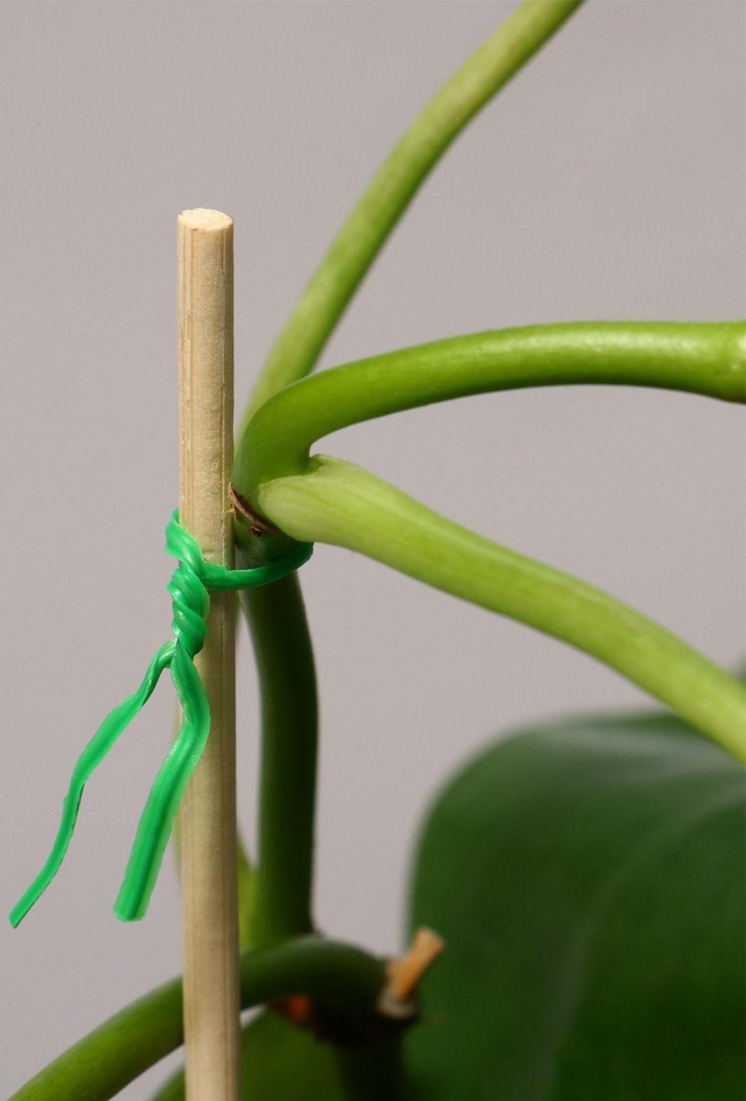 Проволока подвязочная, 100 м, зелёная, Greengo