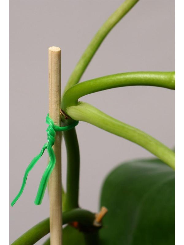 Проволока подвязочная, 100 м, зелёная, Greengo