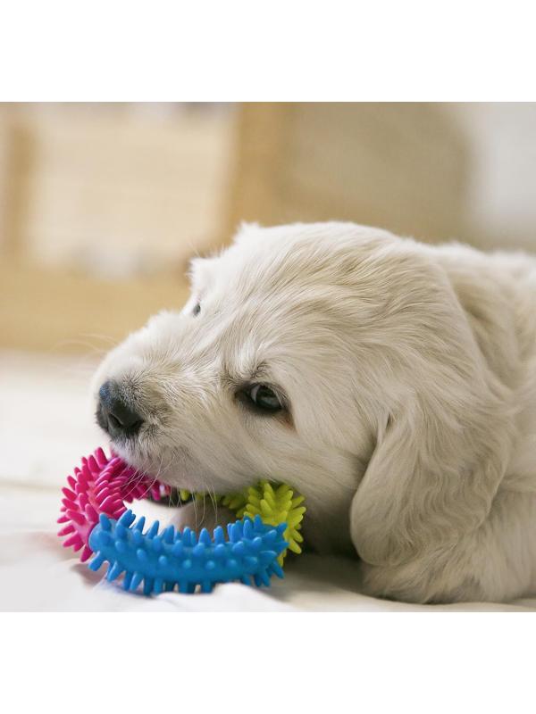 Игрушка жевательная для собак 