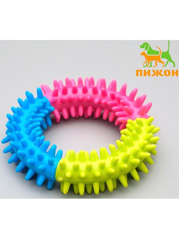 Игрушка жевательная для собак 