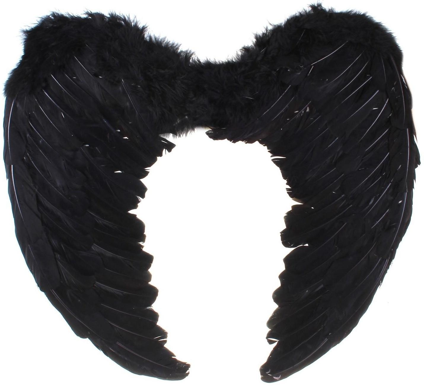 Крылья ангела, 55×40, чёрные