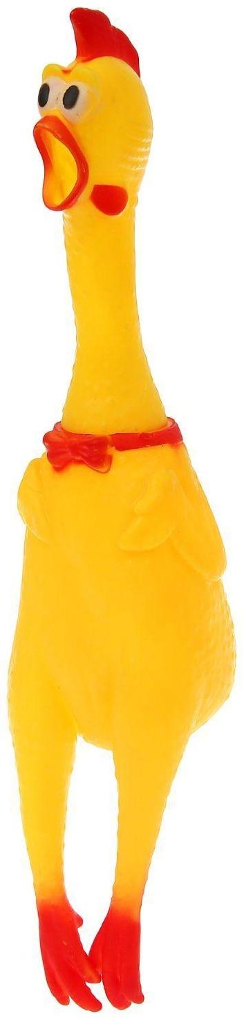 Курица, кричит, в сетке