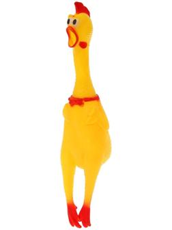 Курица, кричит, в сетке