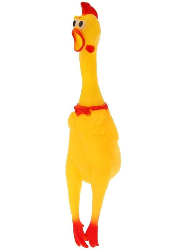 Курица, кричит, в сетке