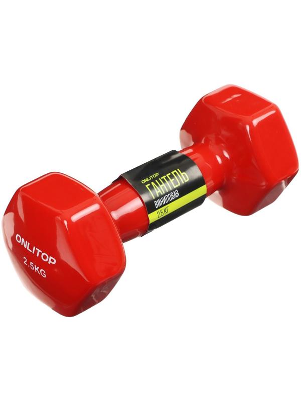 Гантель виниловая, 2,5 кг, цвета микс