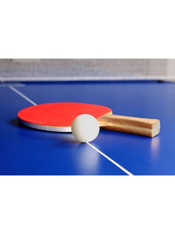 Мяч для настольного тенниса 40 мм, цвет белый