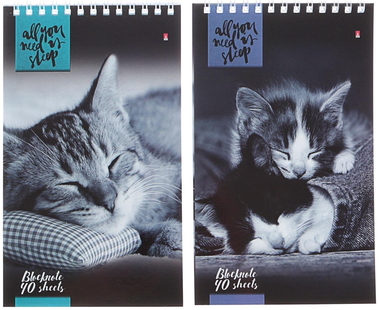 Блокнот А5, 40 листов на гребне 