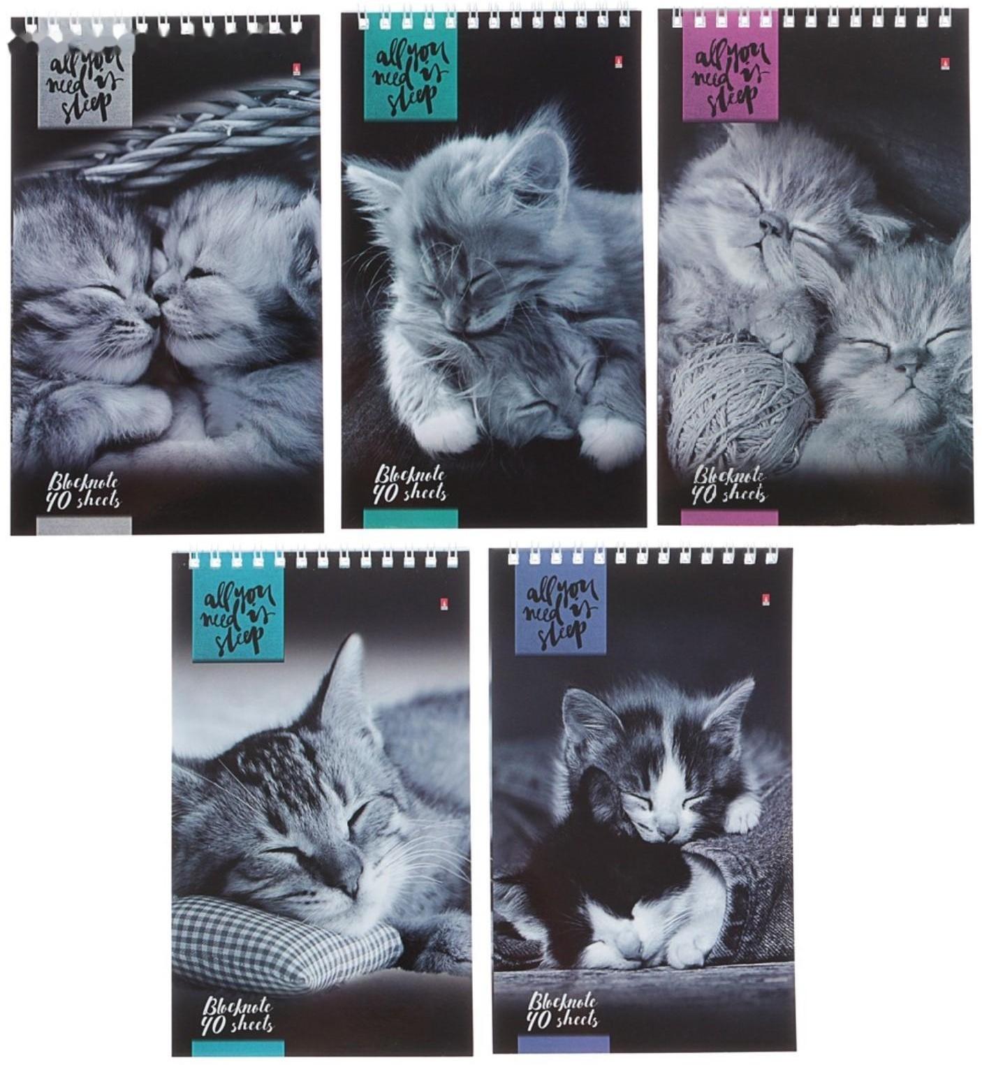 Блокнот А5, 40 листов на гребне 