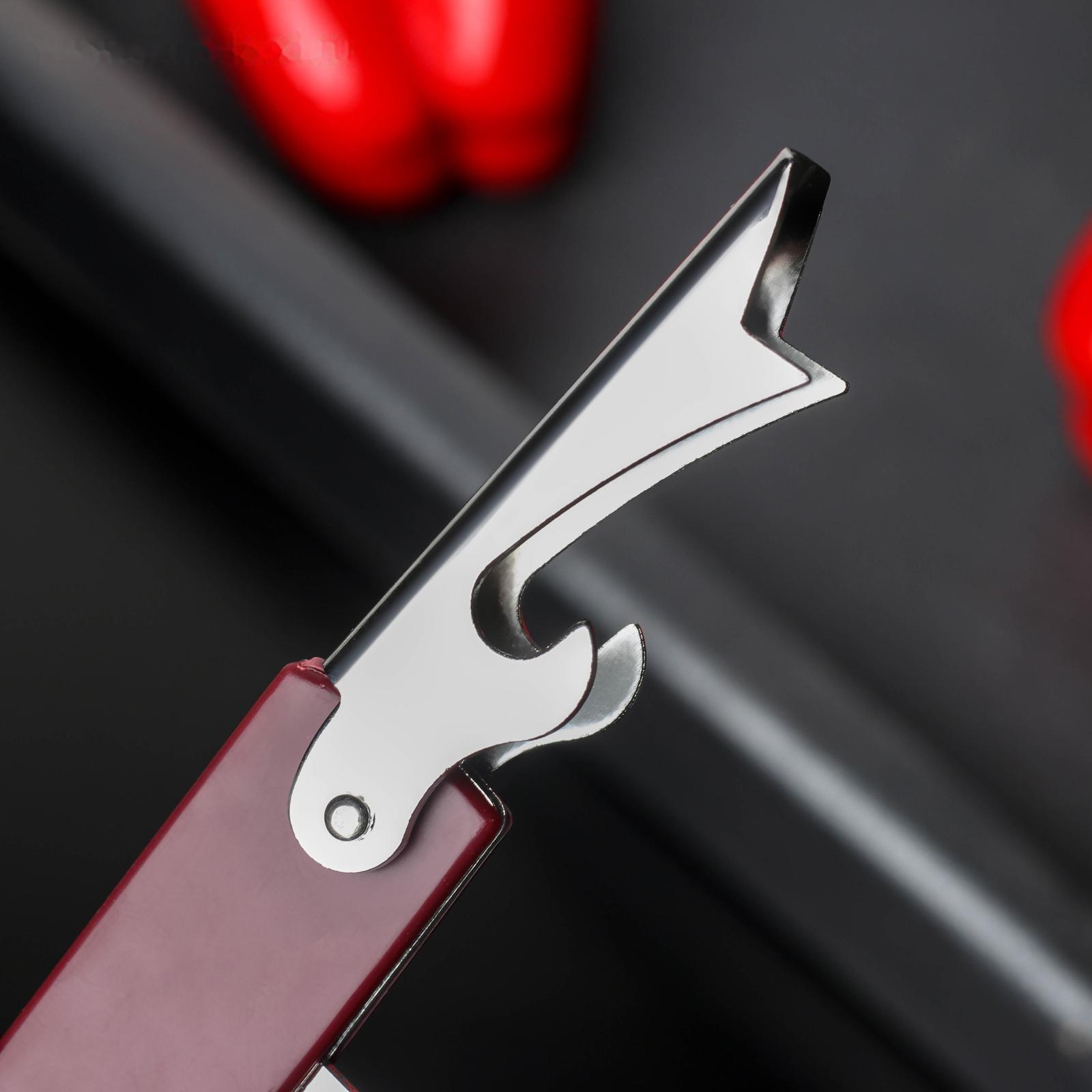 Открывалка универсальная Доляна «Цветная», 13 см, цвет МИКС