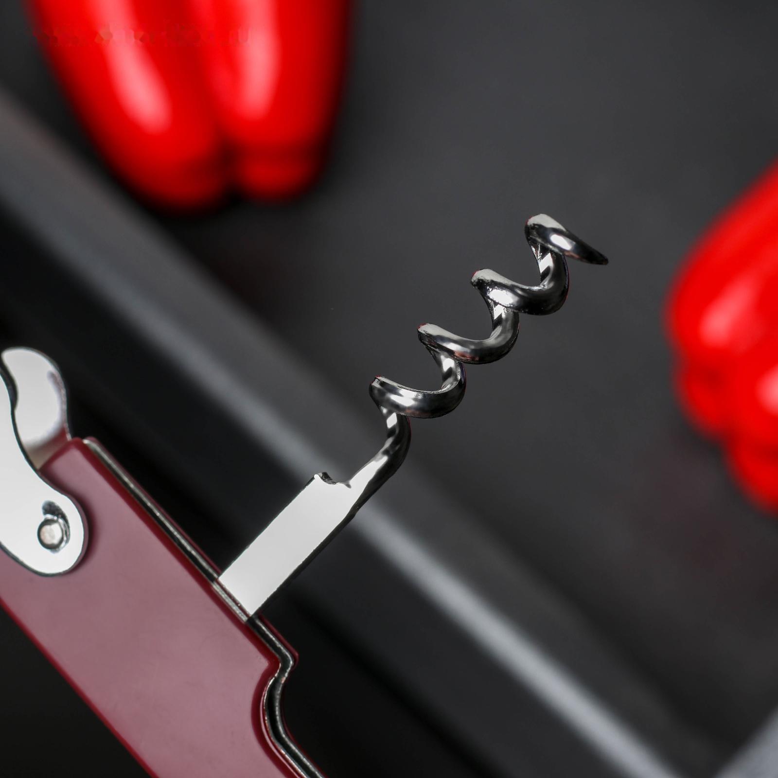 Открывалка универсальная Доляна «Цветная», 13 см, цвет МИКС