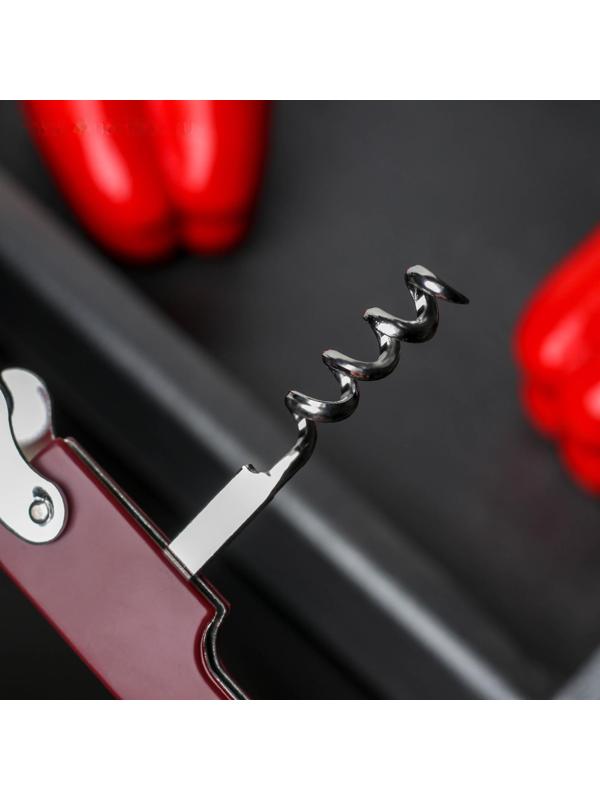 Открывалка универсальная Доляна «Цветная», 13 см, цвет МИКС