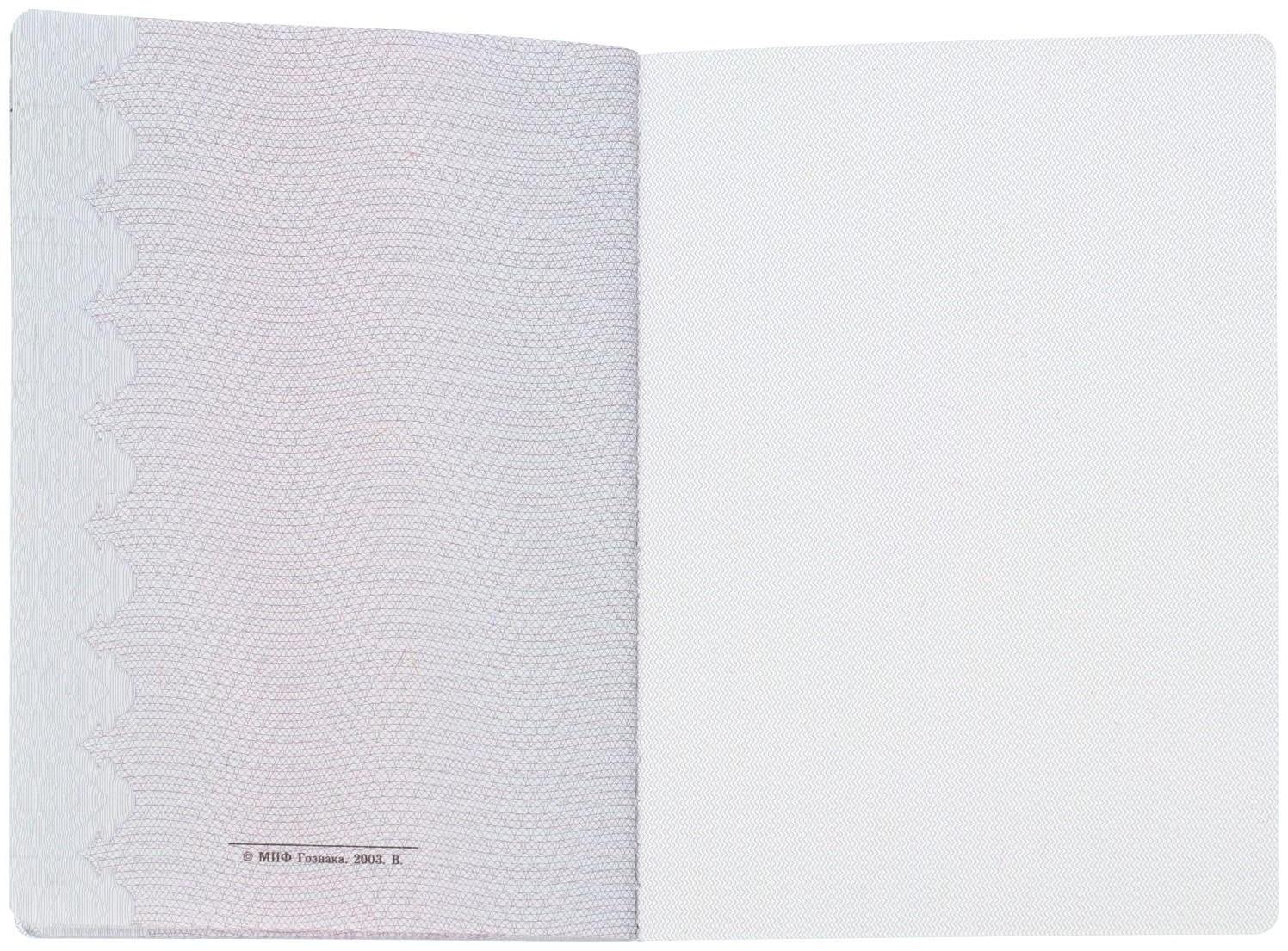 Вкладыш в трудовую книжку без голограммы