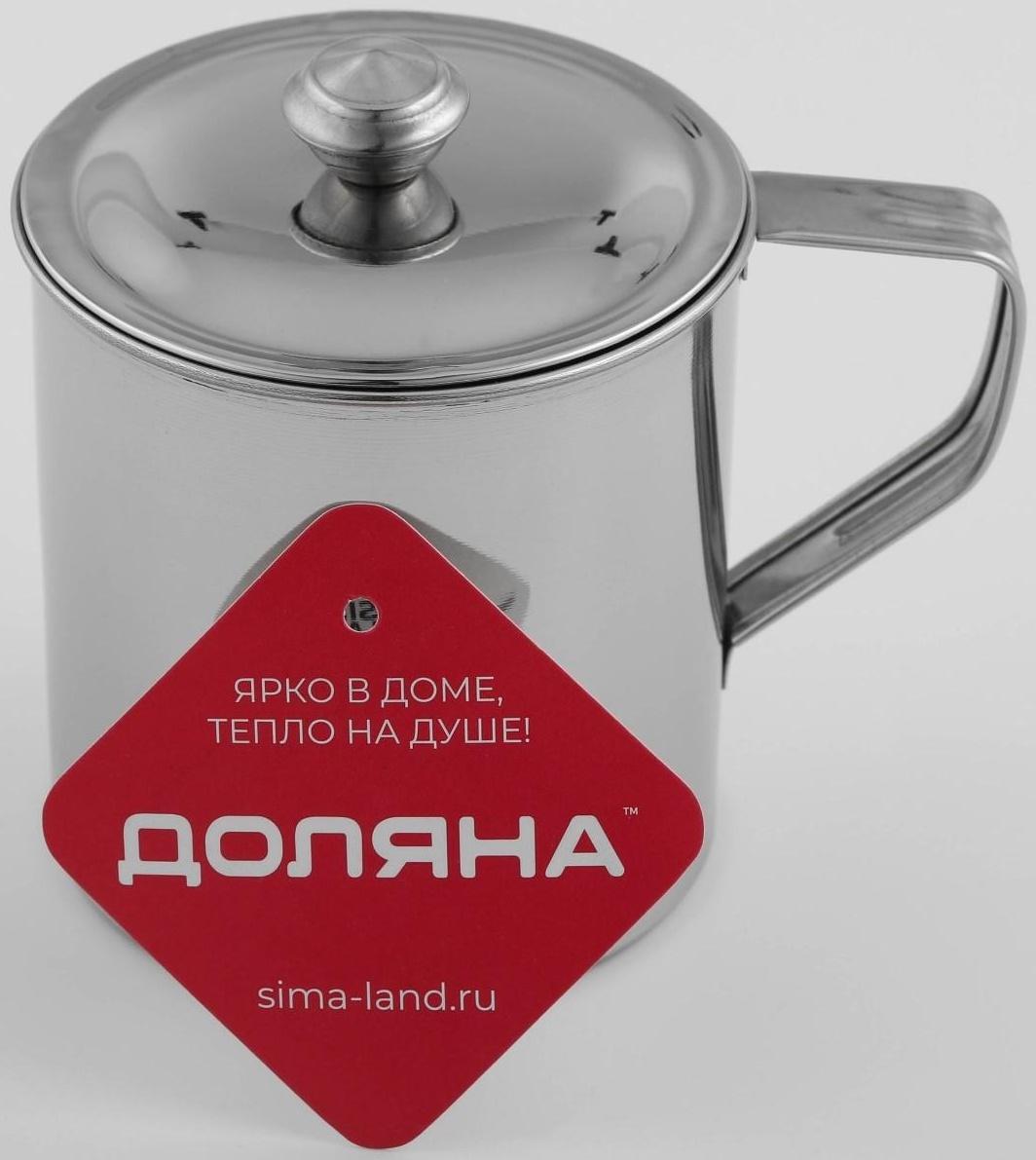 Кружка из нержавеющей стали Доляна «Тарун», 500 мл, 12×9×11 см, с крышкой