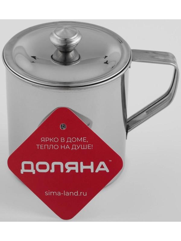 Кружка из нержавеющей стали Доляна «Тарун», 500 мл, 12×9×11 см, с крышкой