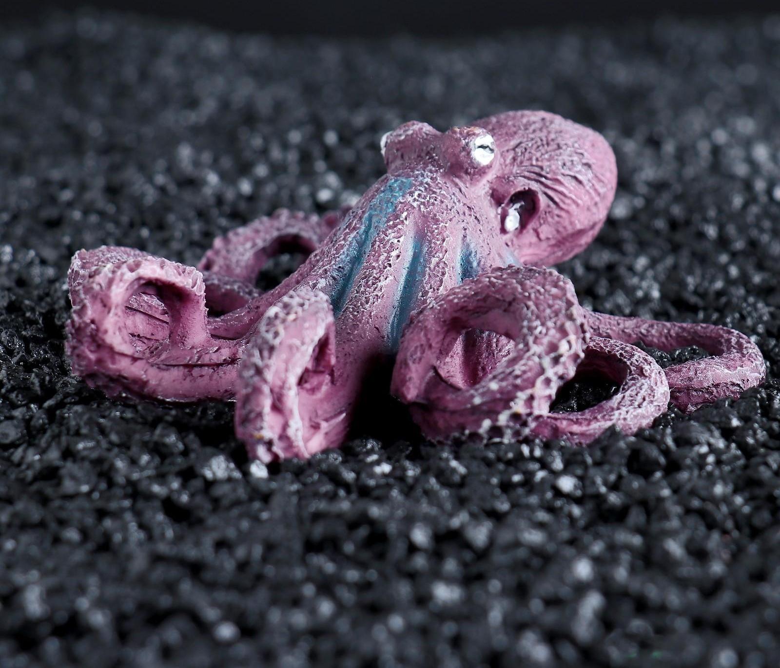 Декор для аквариума 