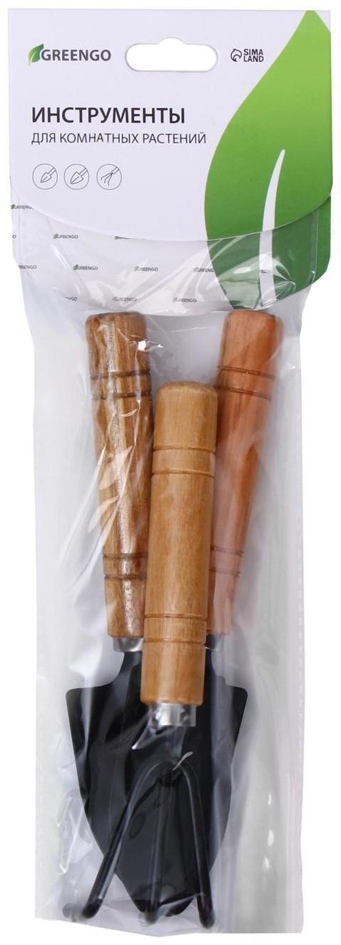 Набор садового инструмента, 3 предмета: рыхлитель, 2 совка, длина 20 см, деревянные ручки