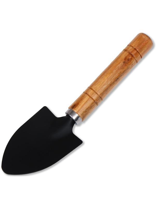 Набор садового инструмента, 3 предмета: рыхлитель, 2 совка, длина 20 см, деревянные ручки