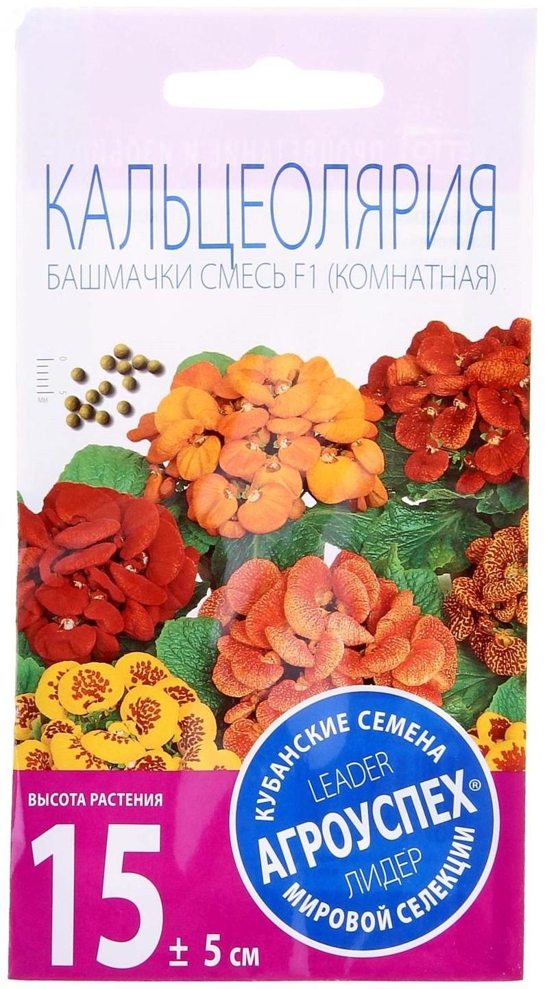 Семена комнатных цветов Кальцеолярия 