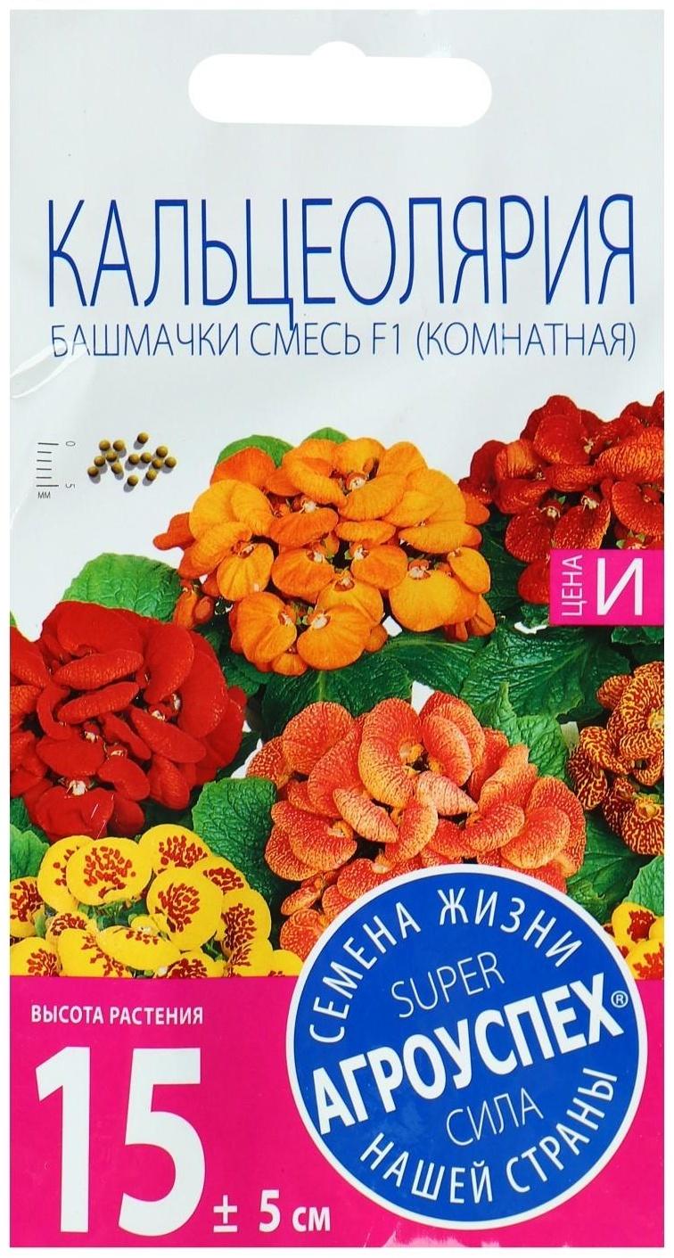 Семена комнатных цветов Кальцеолярия 
