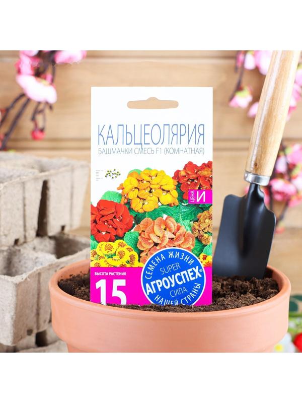 Семена комнатных цветов Кальцеолярия 