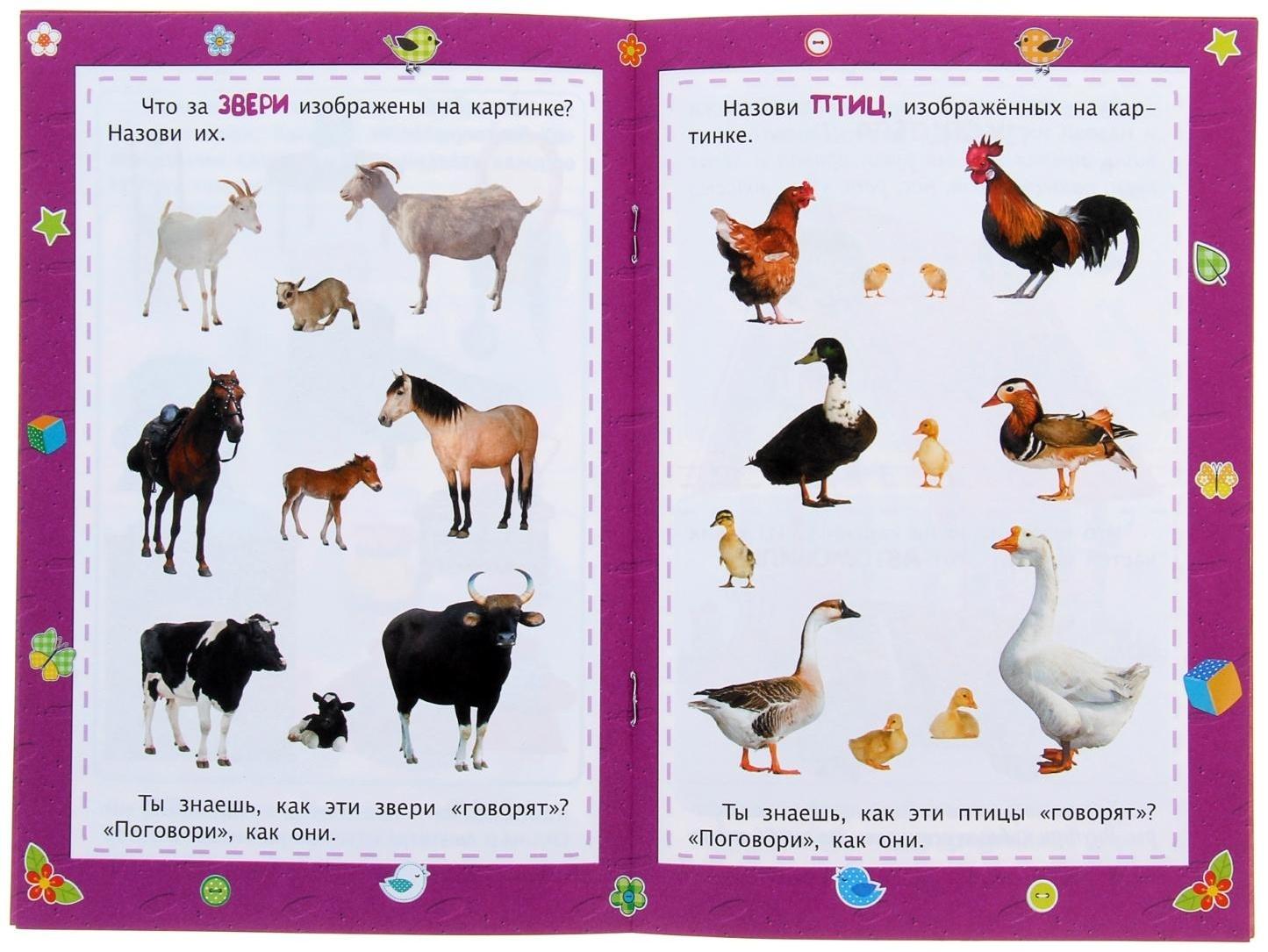 Развитие речи: сборник развивающих заданий для детей 2 лет и старше