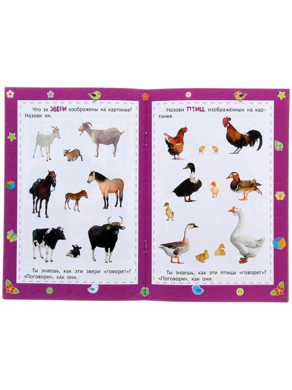 Развитие речи: сборник развивающих заданий для детей 2 лет и старше