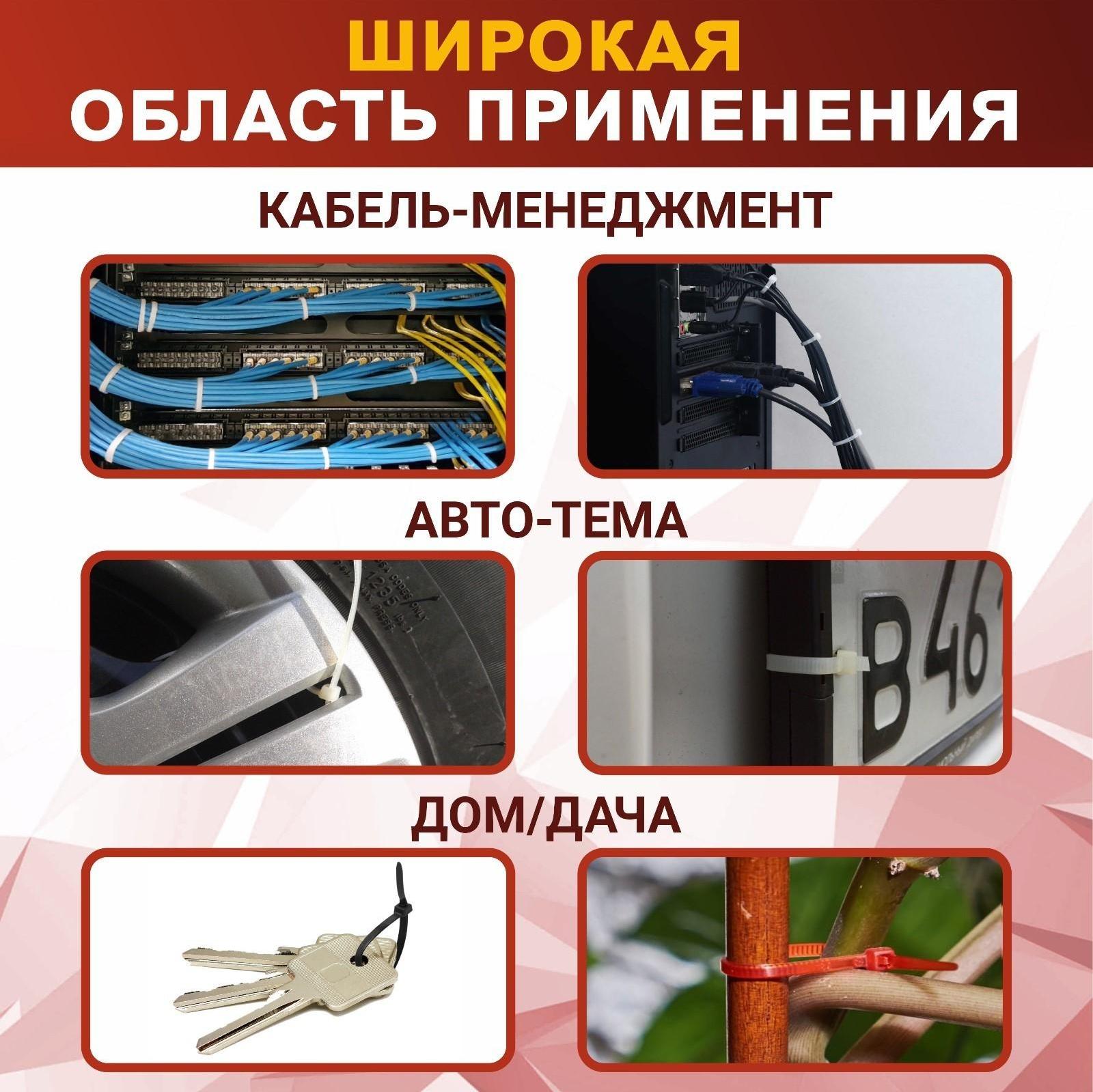 Хомут нейлоновый пластик ТУНДРА krep, для стяжки, 2.5х200 мм, черный, в уп. 100 шт.