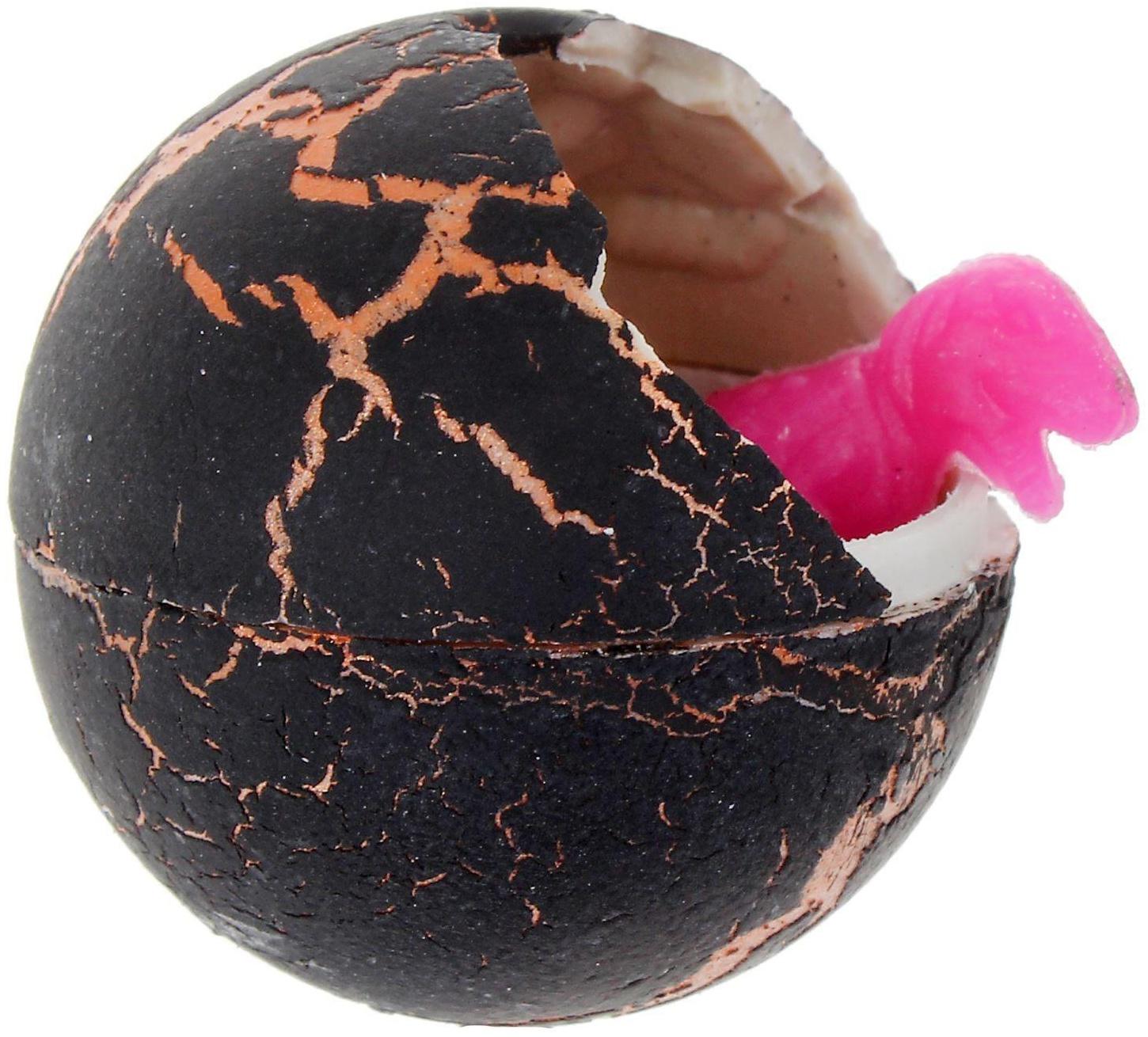 Растущие животные в круглом черном яйце «Страна динозавров»