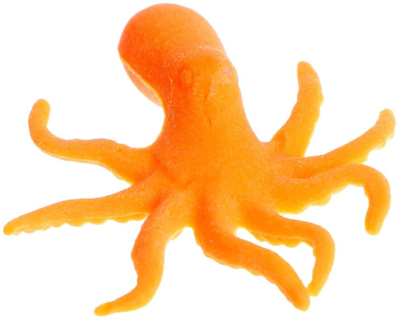 Детский опыт «Растущее животное. Морские животные», МИКС