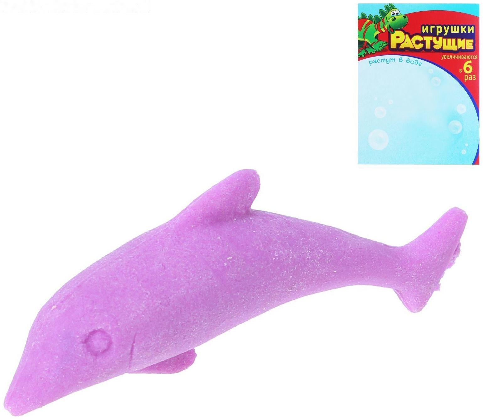 Детский опыт «Растущее животное. Морские животные», МИКС