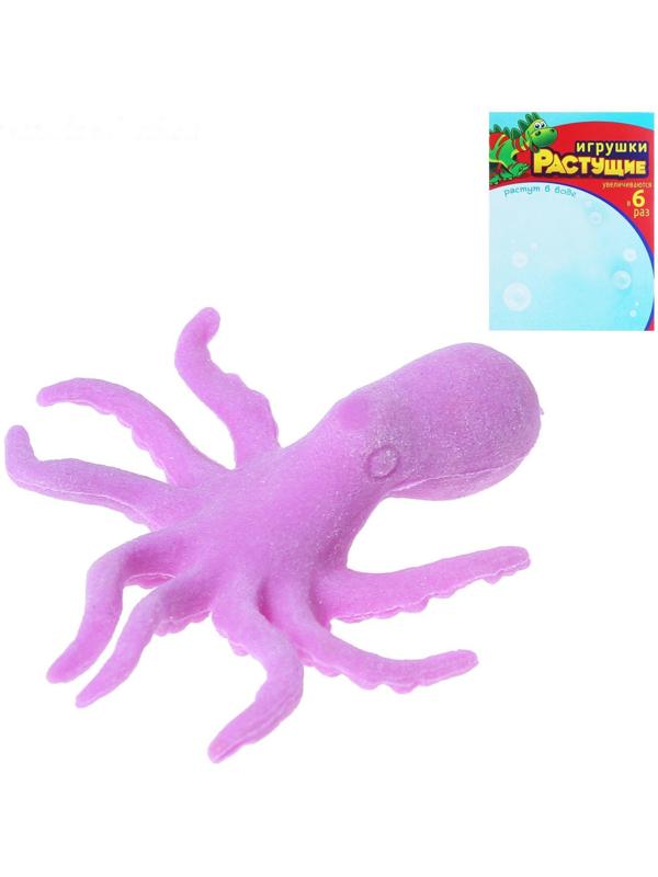 Детский опыт «Растущее животное. Морские животные», МИКС