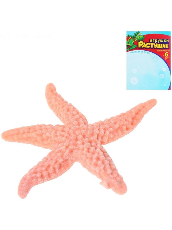 Детский опыт «Растущее животное. Морские животные», МИКС