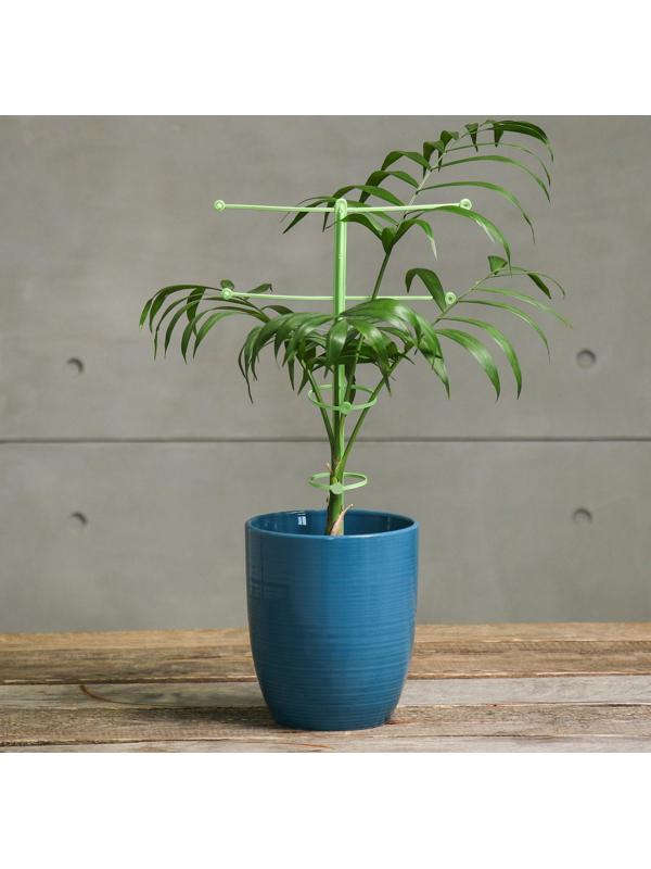 Поддержка для растений, h = 42 см, цвет МИКС