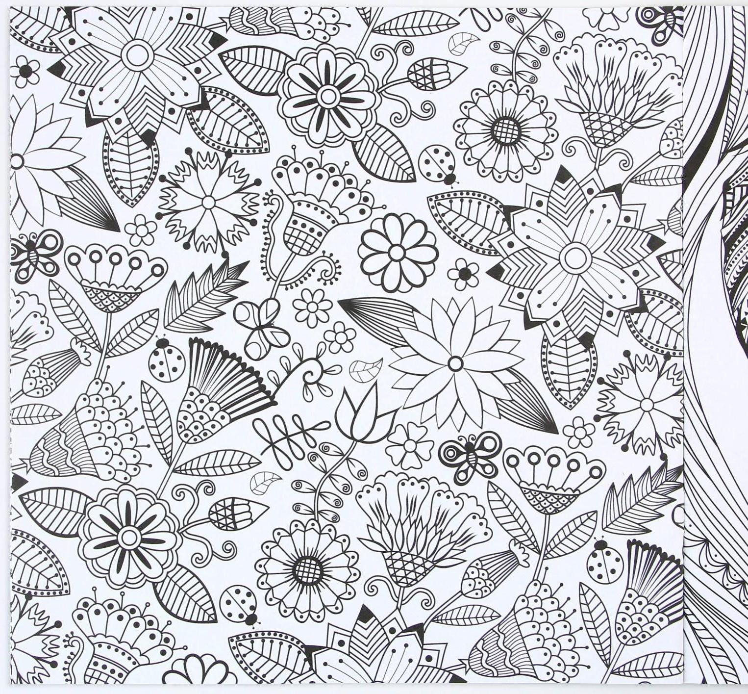 Раскраска - антистресс, альбом «Волшебные узоры» 20 стр.