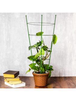 Кустодержатель, 4 кольца, d = 28 см, h = 120 см, металл, зелёный