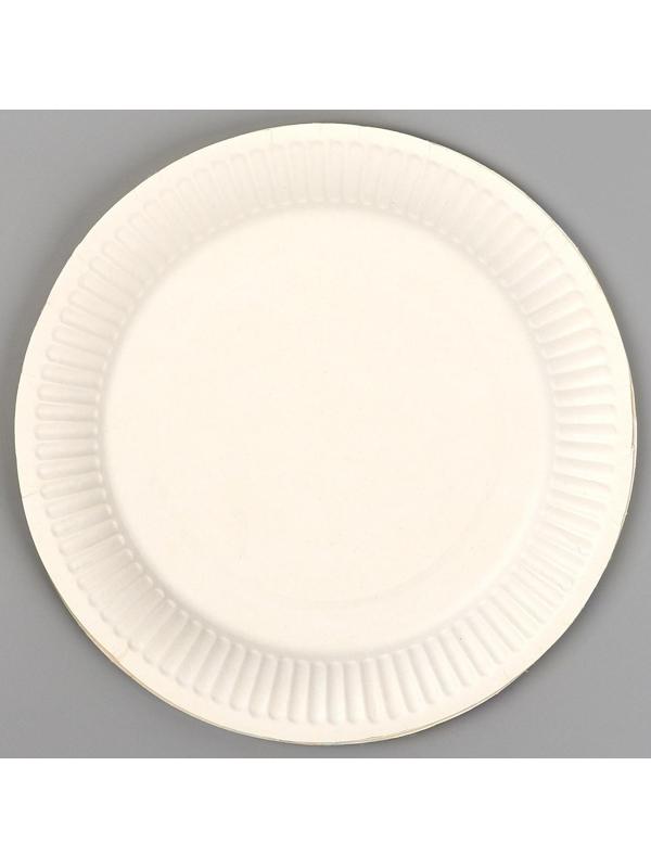 Тарелка бумажная «С днём рождения!», свечи и гирлянды, 18 см