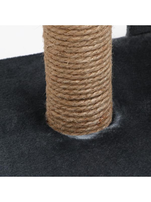 Когтеточка 