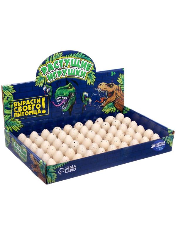 Растущие животные «Динозаврики», МИКС