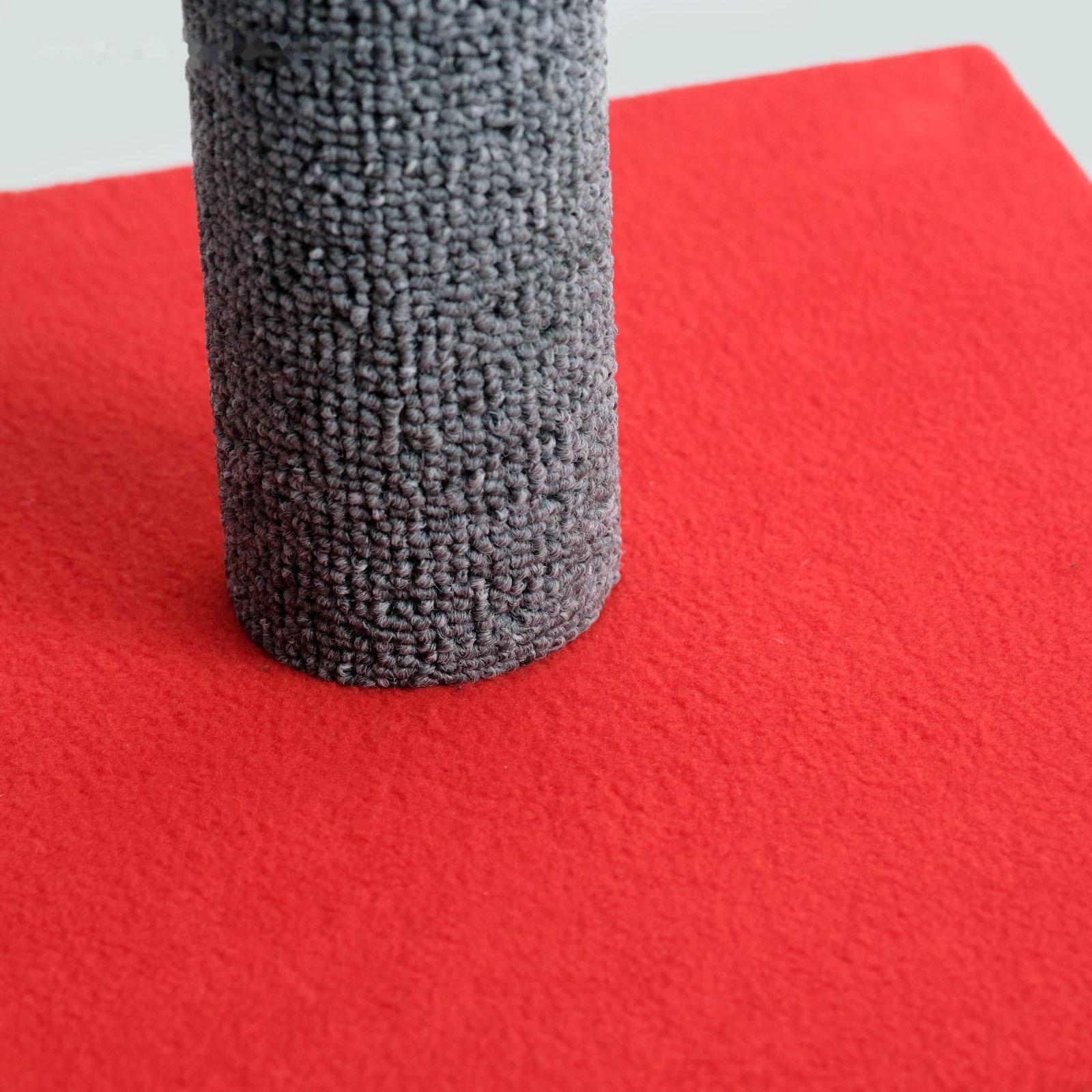 Когтеточка 