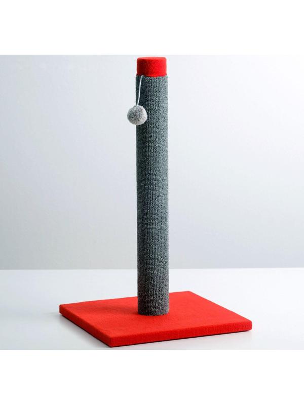 Когтеточка 