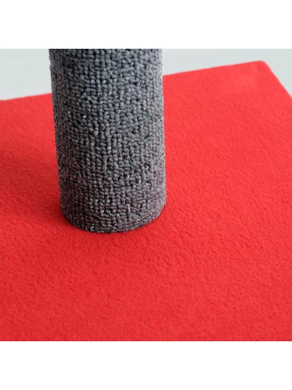 Когтеточка 